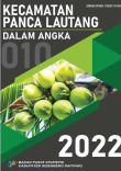 Kecamatan Panca Lautang Dalam Angka 2022