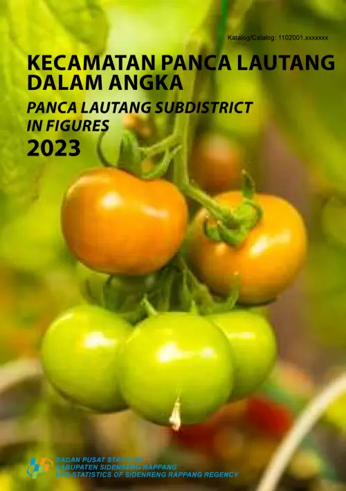 Kecamatan Panca Lautang Dalam Angka 2023